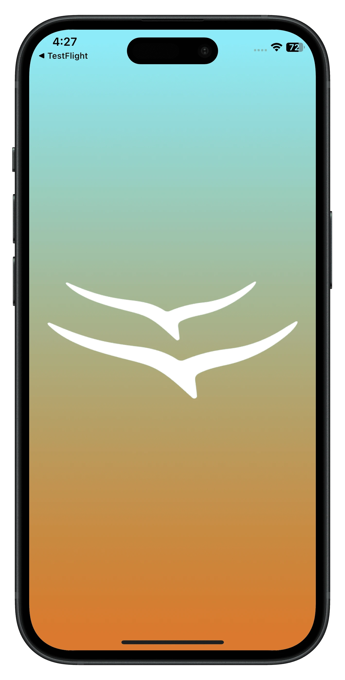 mockup